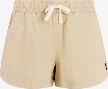 PROTEST Pants 'PRTPien' in Brown: front