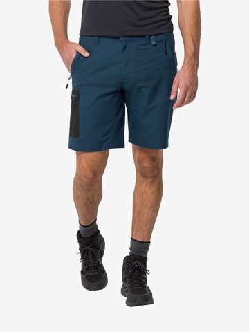 JACK WOLFSKIN Regular Outdoor Pants 'ACTIVE TRACK' in Blue: front