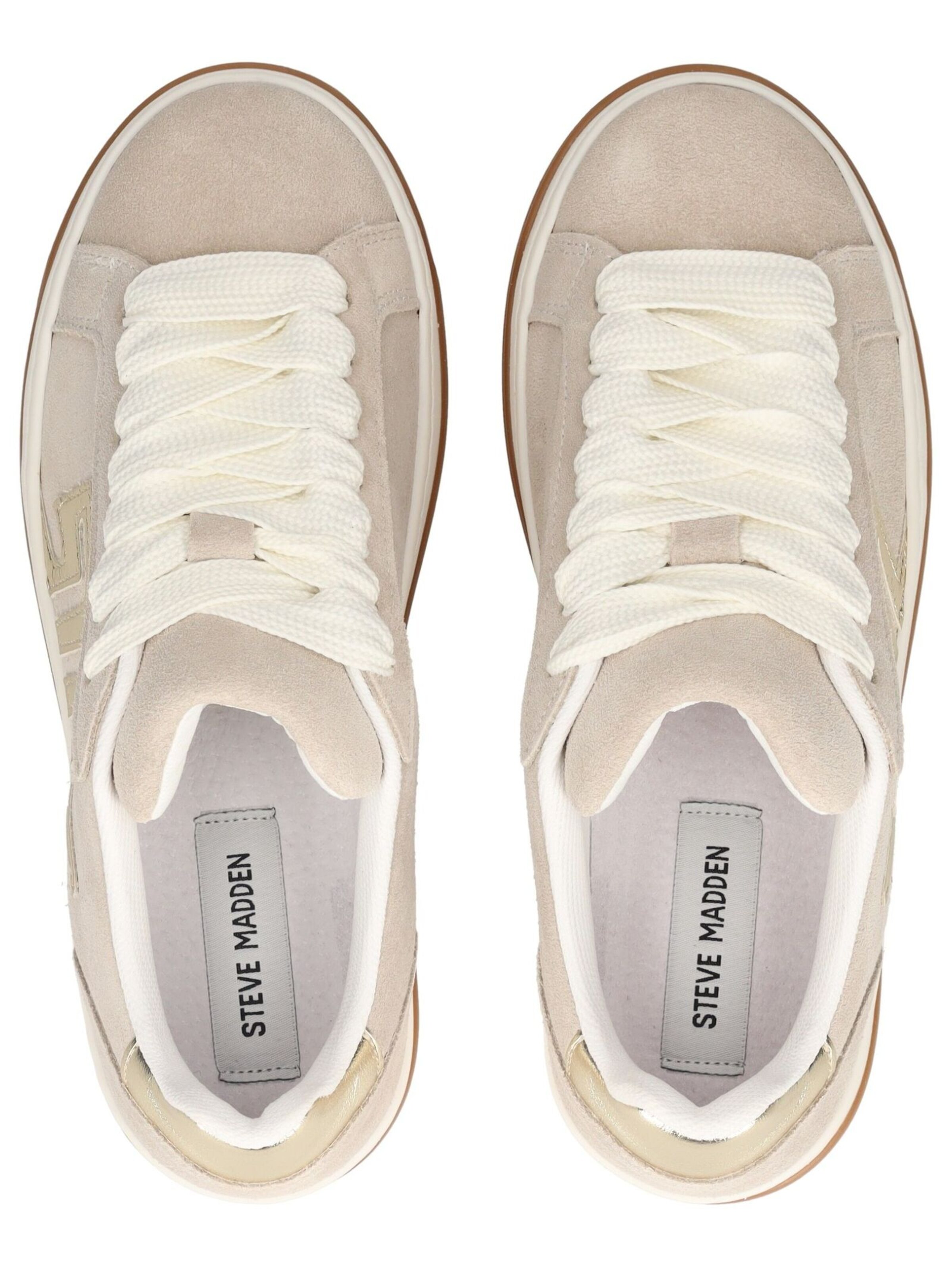 Baskets basses STEVE MADDEN en beige