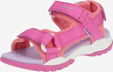 GEOX Sandalen in Roze: voorkant