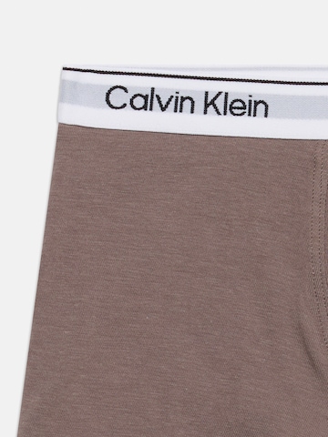 Calvin Klein Underwear Kalsong i brun