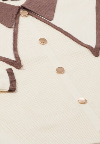 NAEMI Pullover in Beige