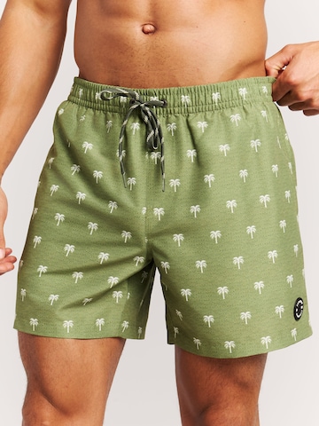 PROTEST Board Shorts 'PRTMascot' in Green