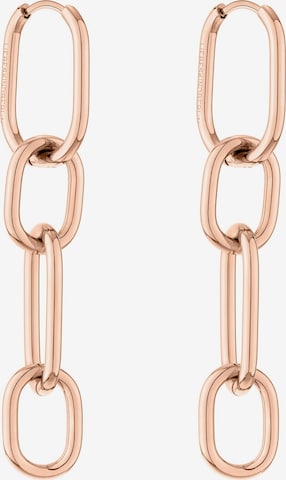 Liebeskind Berlin Oorbellen in Goud: voorkant