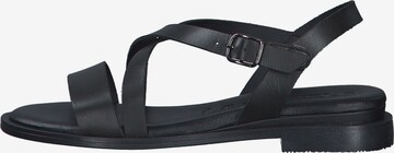 TAMARIS Sandalen met riem in Zwart