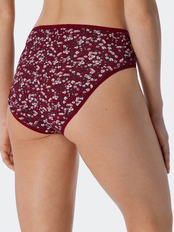 SCHIESSER Panty in Mixed colors