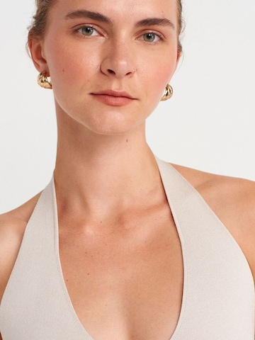 Dilvin Blouse 'Blusen' in Beige