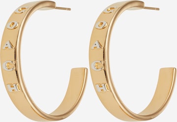 COACH Earrings in Gold: front