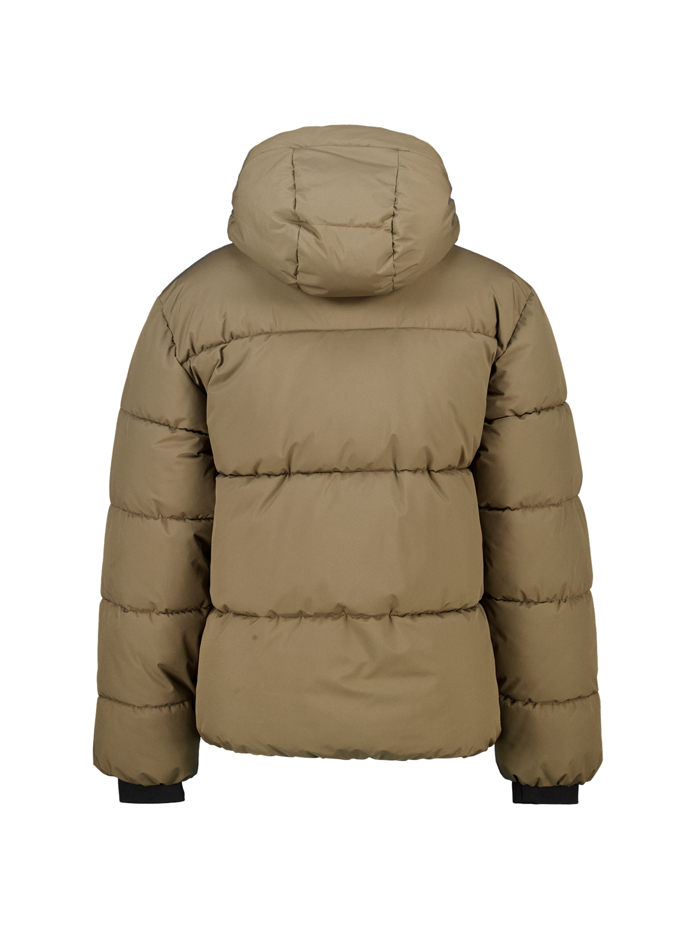 America Today Winterjas in Groen