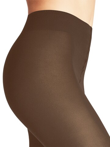 FALKE Tights 'Family' in Brown