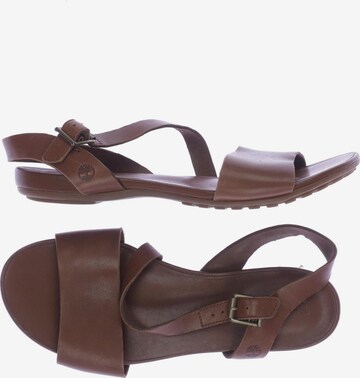 TIMBERLAND Sandals & High-Heeled Sandals in 39,5 in Brown: front
