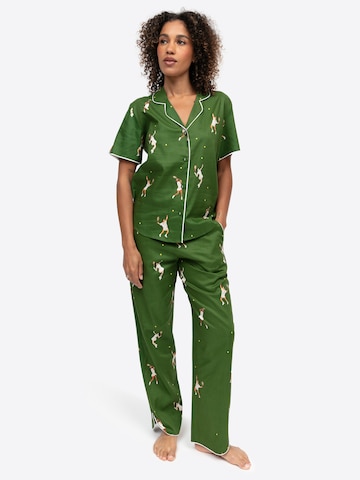 Cyberjammies Pajama pants 'Charlie' in Green