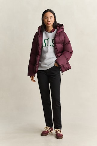 GANT Sweatshirt in Grau