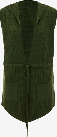 CAILYN Knit Cardigan in Green: front