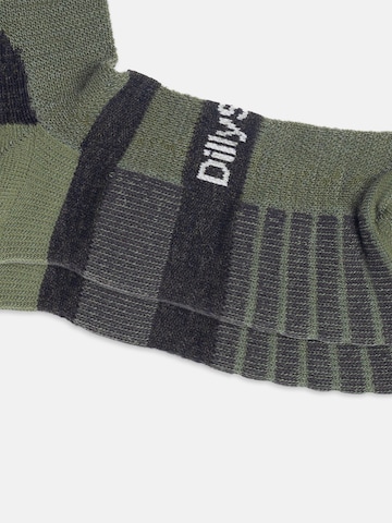 Chaussettes de sport 'Active Merino ' DillySocks en vert