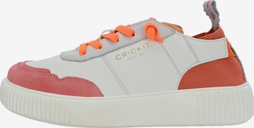 Crickit Sneakers laag ' OAKLI ' in Gemengde kleuren