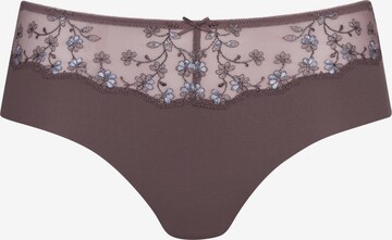 Culotte Mey en marron : devant