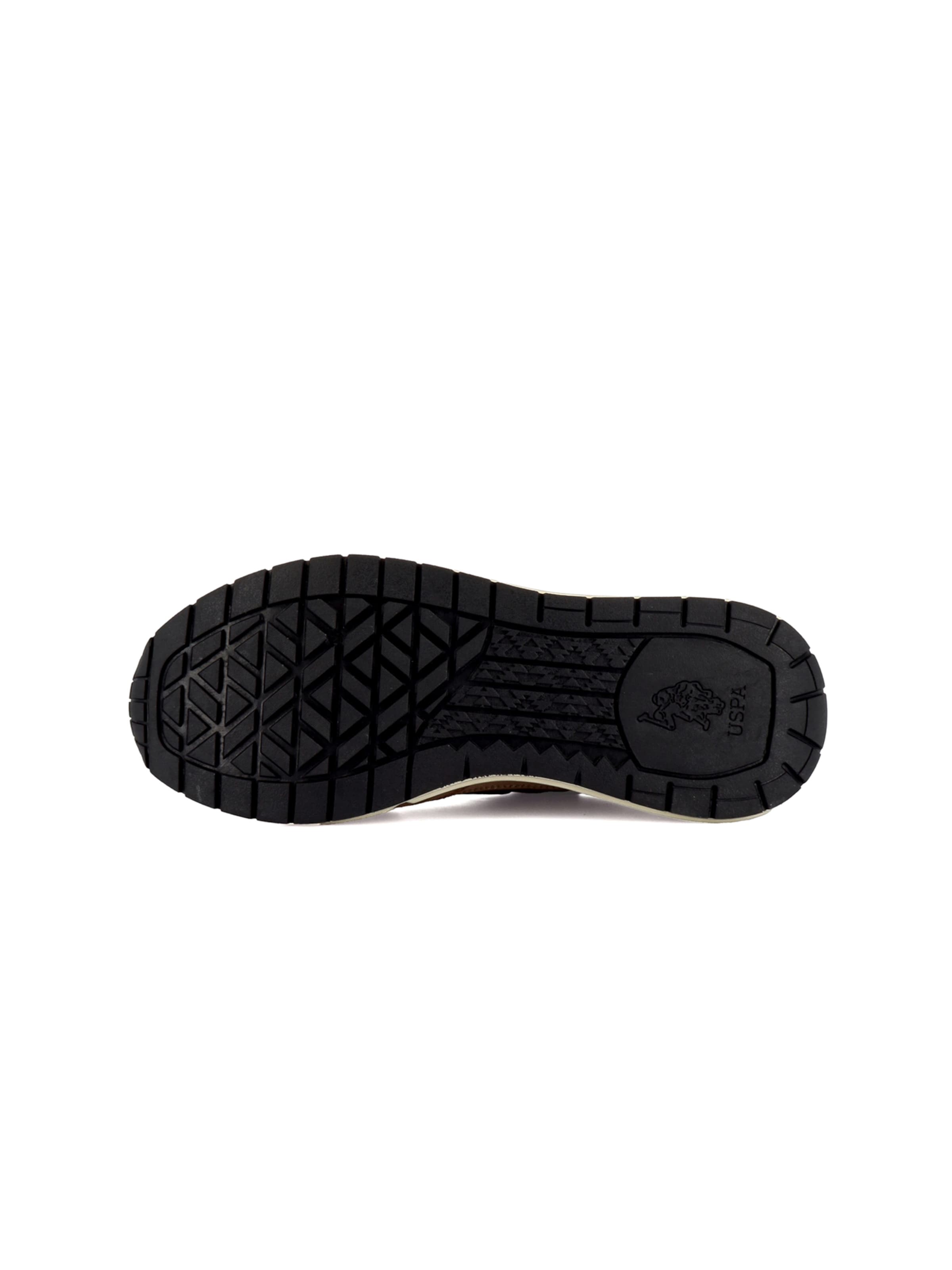 Baskets basses 'Seneka' US POLO ASSN. en marron