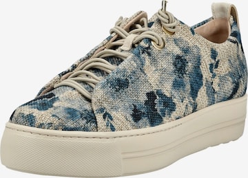 Baskets basses Paul Green en bleu : devant