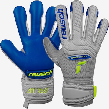 REUSCH Athletic Gloves 'Attrakt Grip Evolution' in Grey: front
