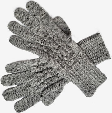 Posh Gear Full finger gloves 'Guantibrada' in Grey: front