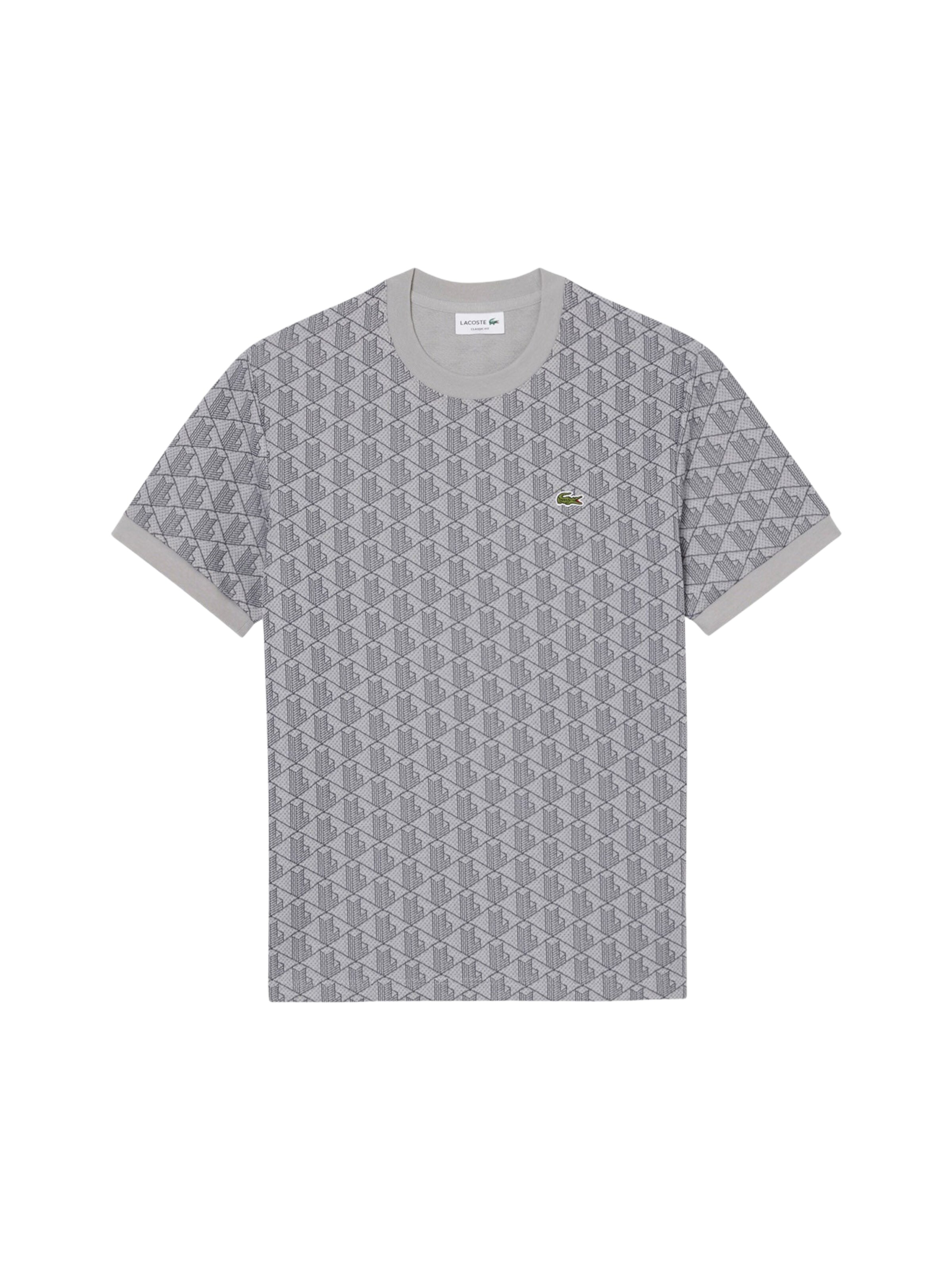 LACOSTE T-Shirts in Grau: Vorderseite