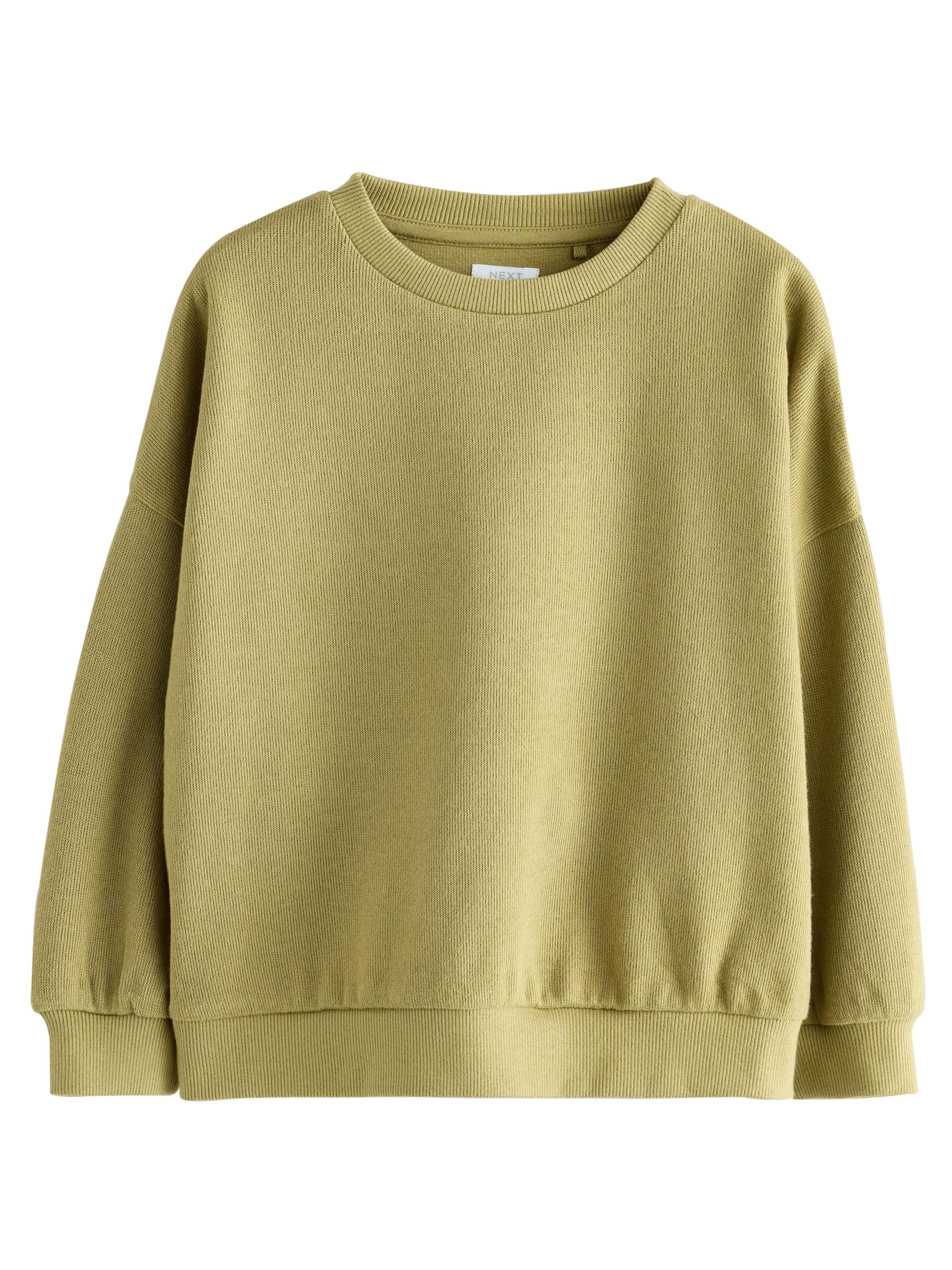 Next Sweatshirt in Reed, Item view