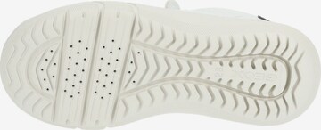 GEOX Sneakers in White