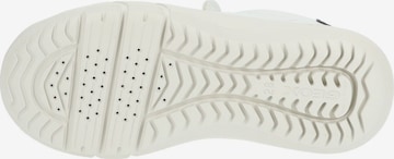 Baskets GEOX en blanc