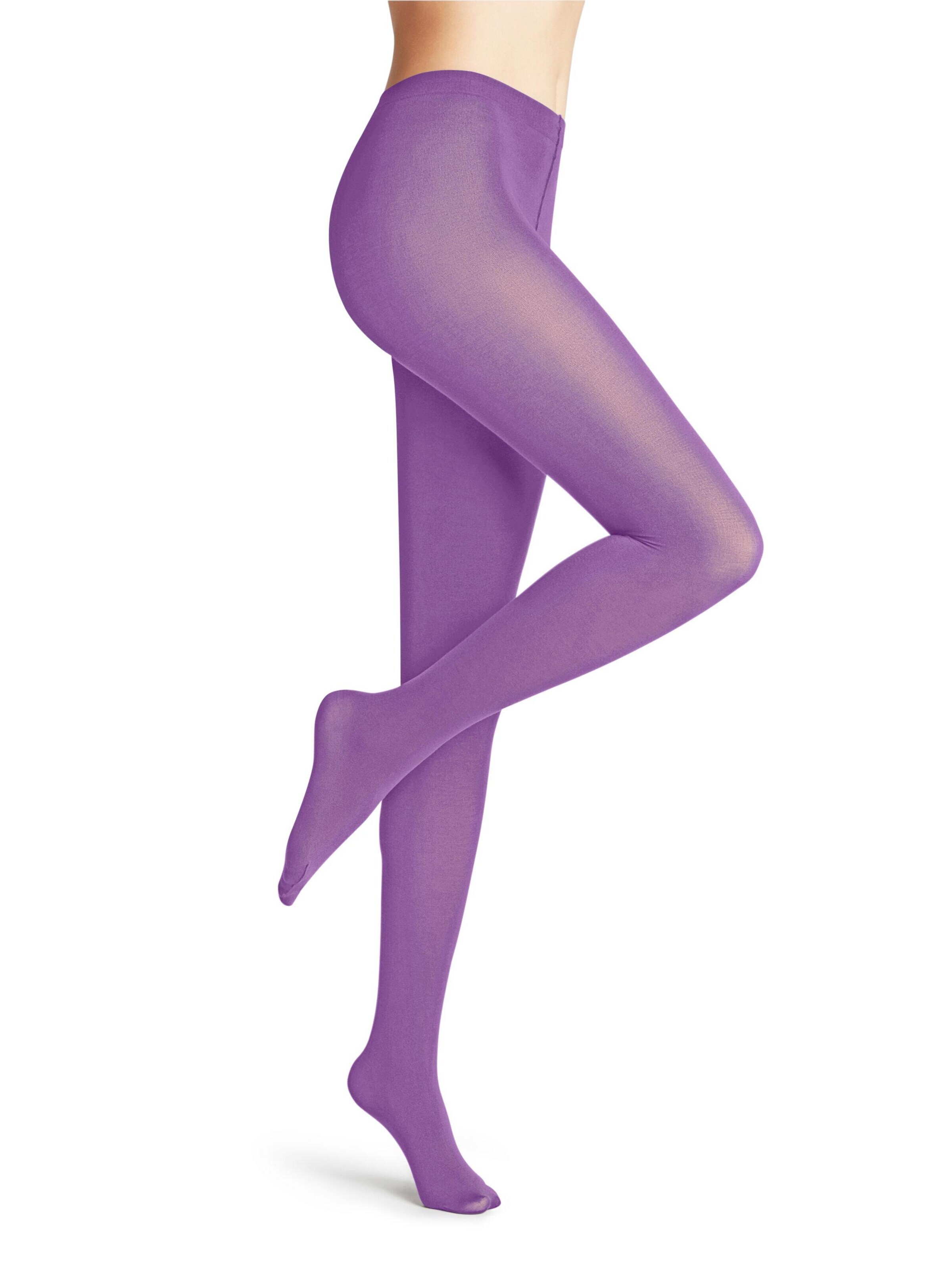 FALKE Strumpfhose 'Cotton Touch'‌‌‌‌‌‌‌‌‌‌ in Lila
