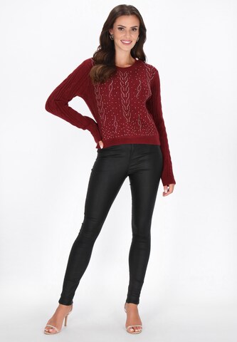 faina - Jersey en rojo