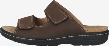 COSMOS COMFORT Mules in Brown