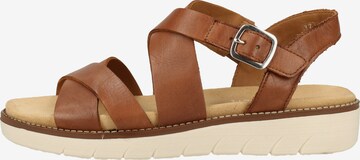 REMONTE Sandalen met riem in Bruin