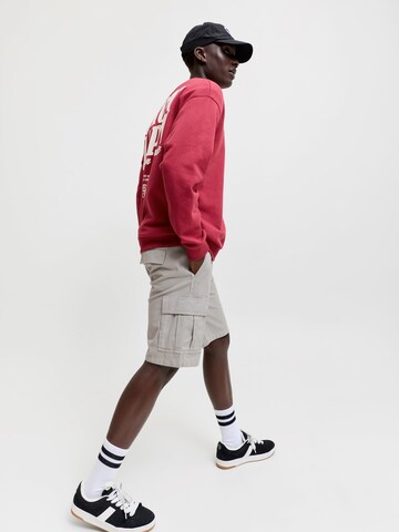 JACK & JONES - regular Pantalón cargo 'JPSTCOLE HUDSON' en gris