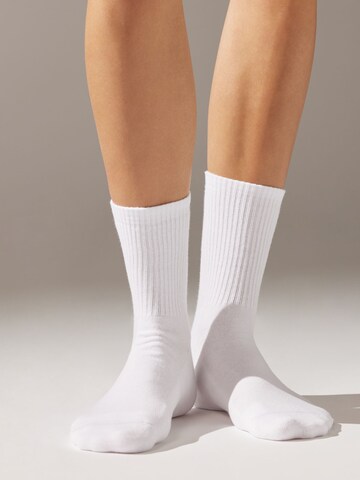 CALZEDONIA Socks in White: front