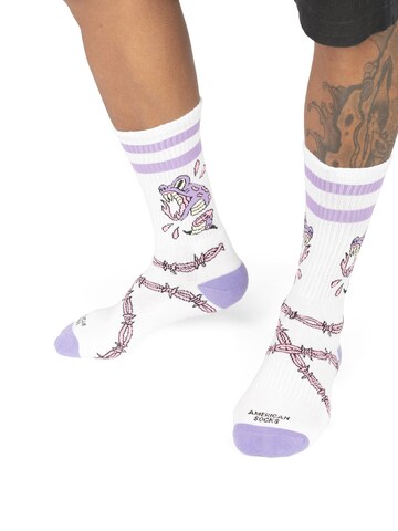 American Socks - Calcetines 'Snake Bite -' en lila