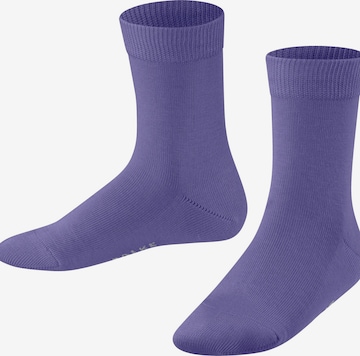 FALKE Socks 'Family' in Purple: front