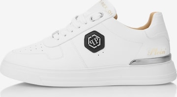 Baskets basses 'Cocco' Philipp Plein en blanc : devant