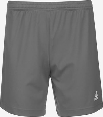 Pantalon de sport 'Entrada 22' ADIDAS PERFORMANCE en gris : devant