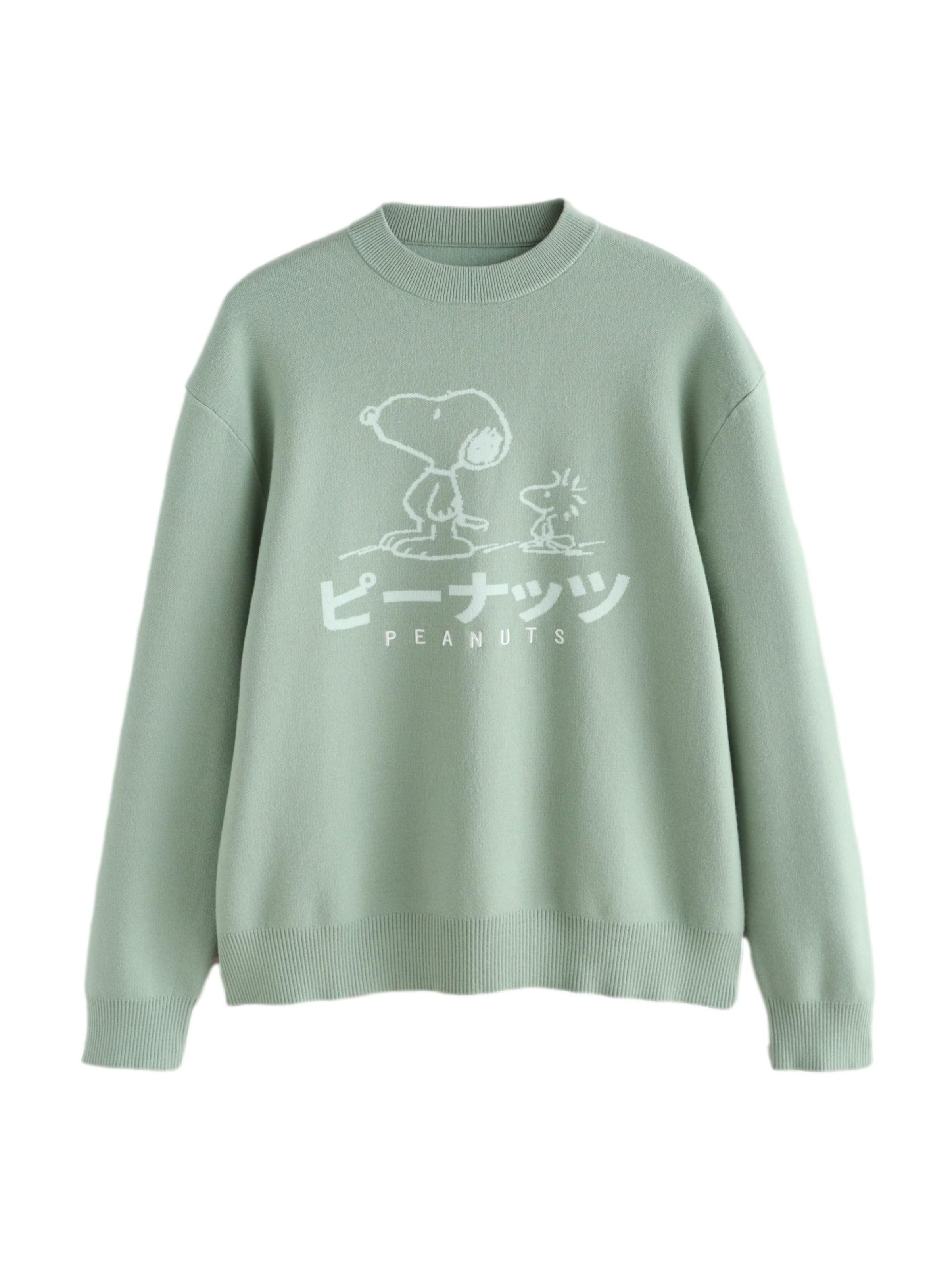 Next Sweater in Green: front