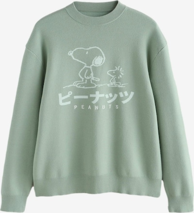 Next Pulover u menta, Pregled proizvoda