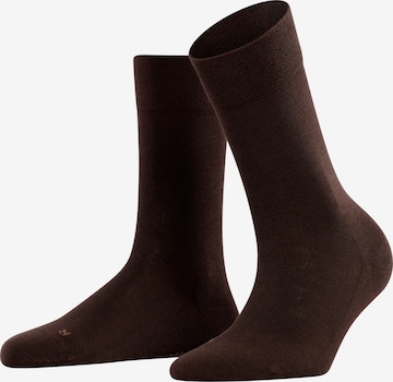 FALKE Socken 'Sensitive London' in Braun: Vorderseite