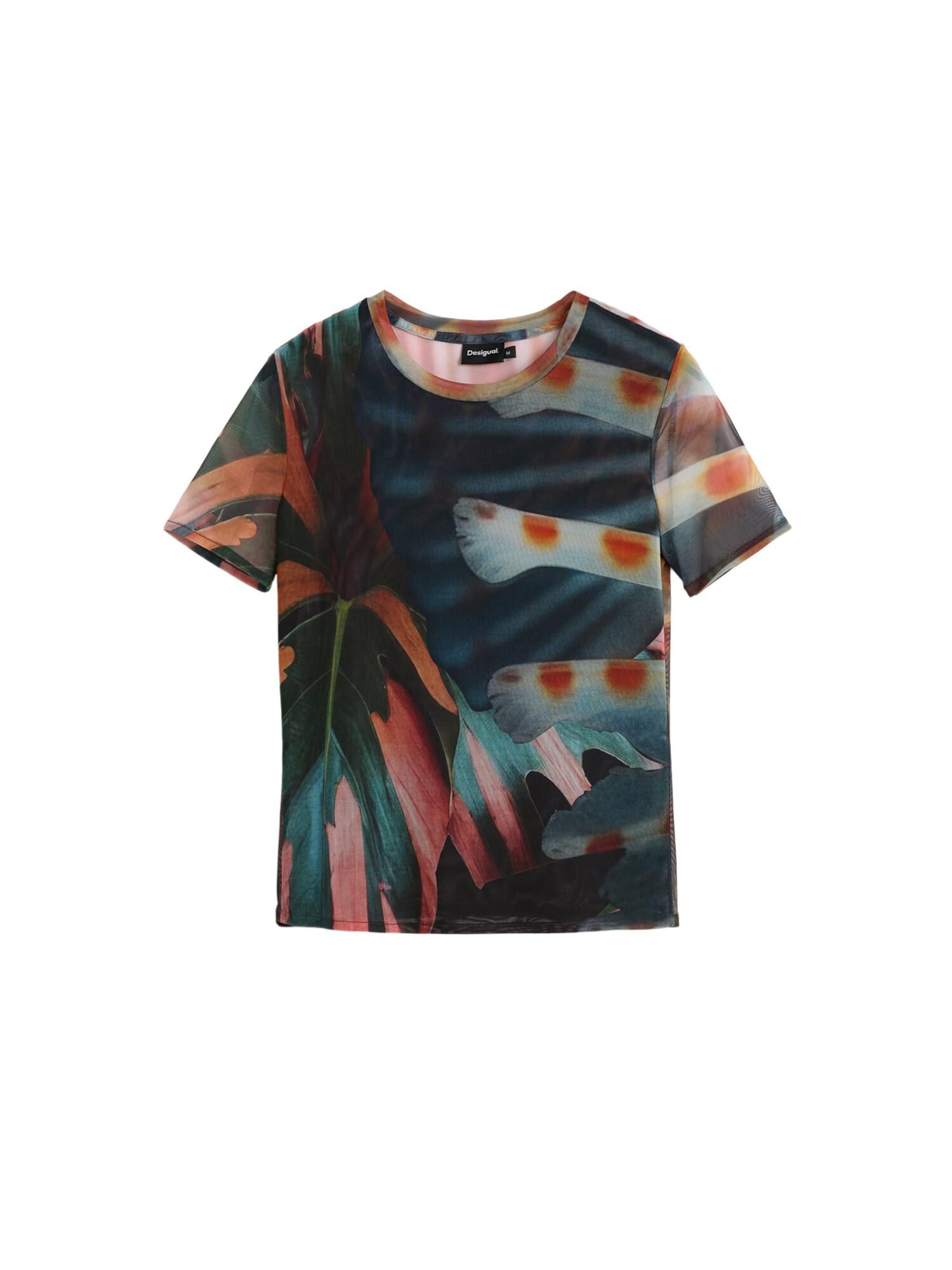 Desigual Футболка в Смешанный: спереди