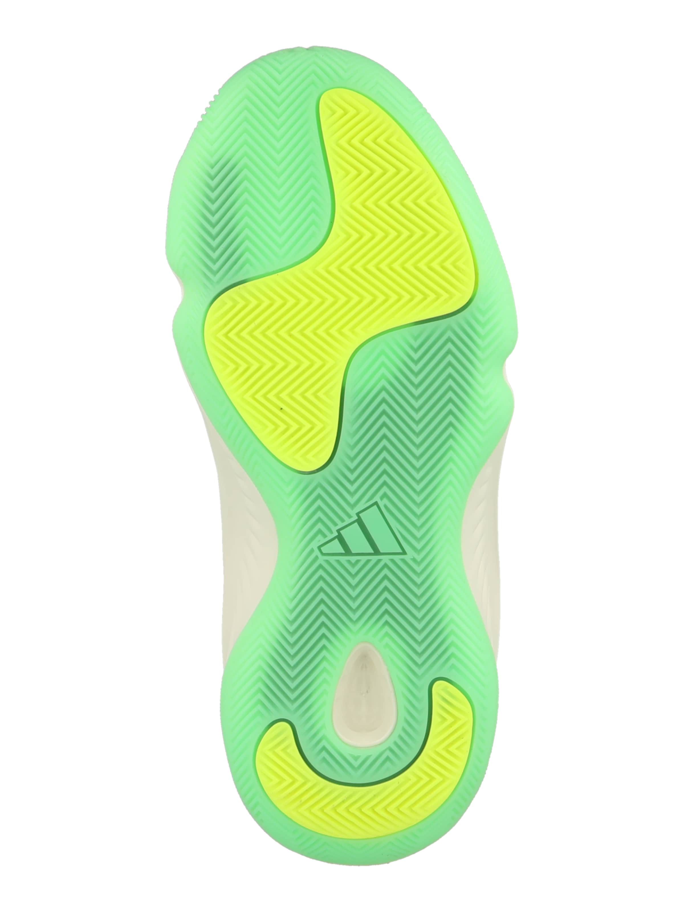 ADIDAS PERFORMANCE Športni čevelj | črna barva