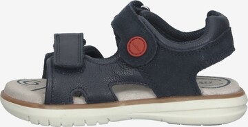 GEOX Open schoenen in Blauw