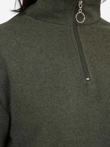 Bigdart Pullover in Grün