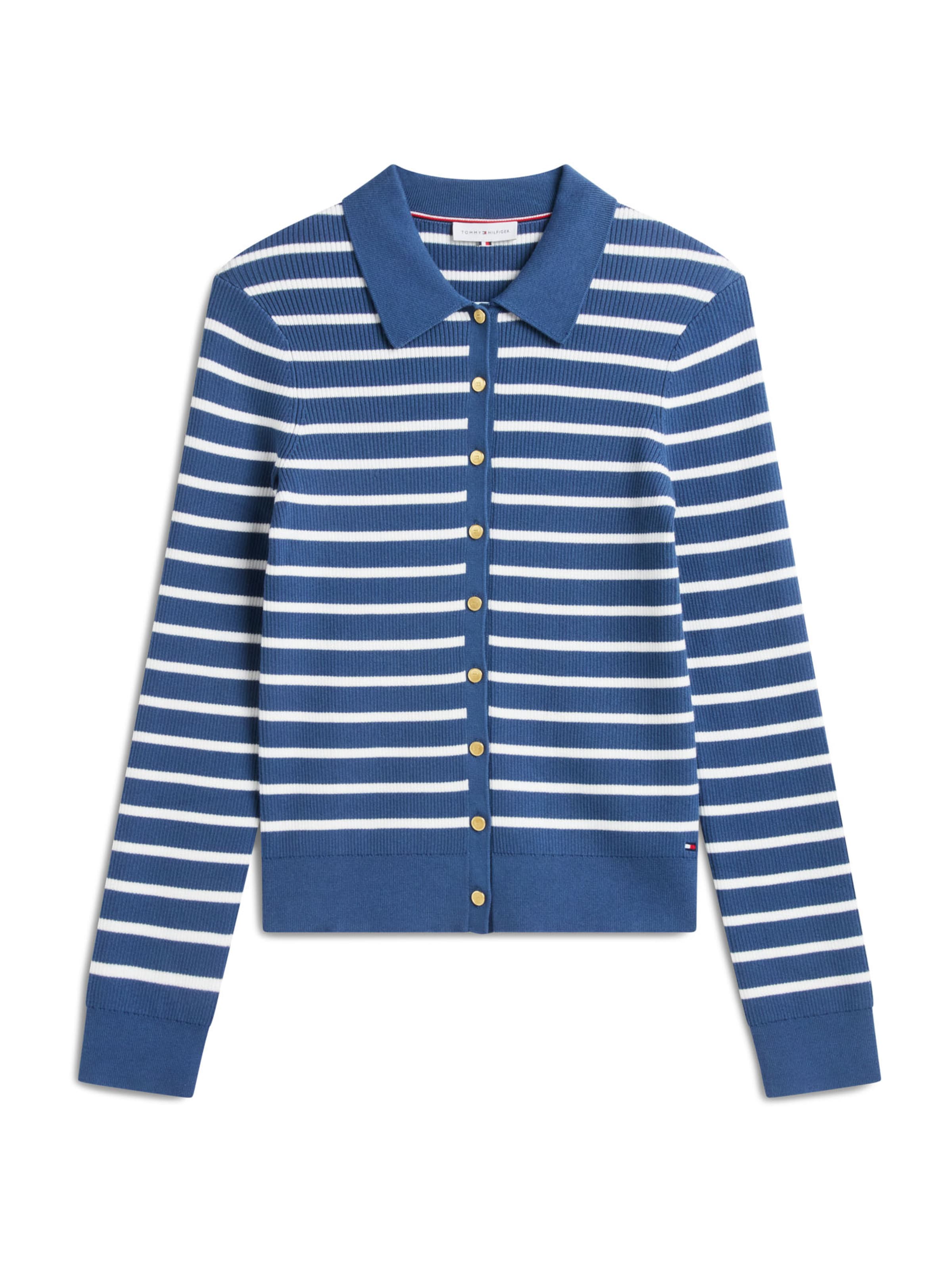 mėlyna TOMMY HILFIGER Kardiganas: priekis
