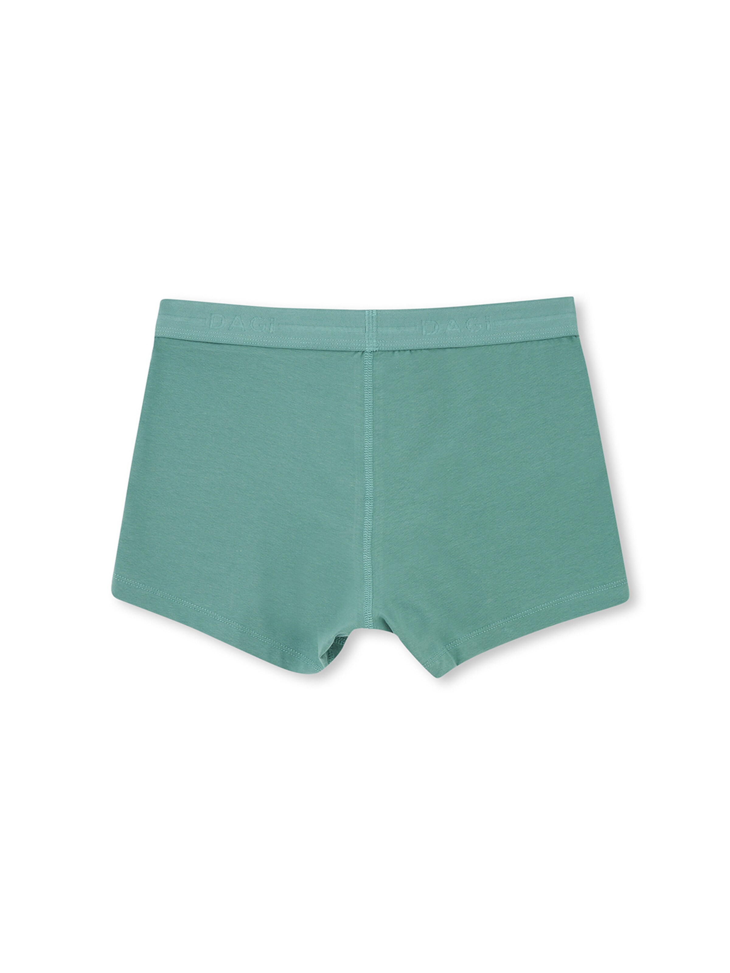 Dagi Bokserishortsit värissä vihreä