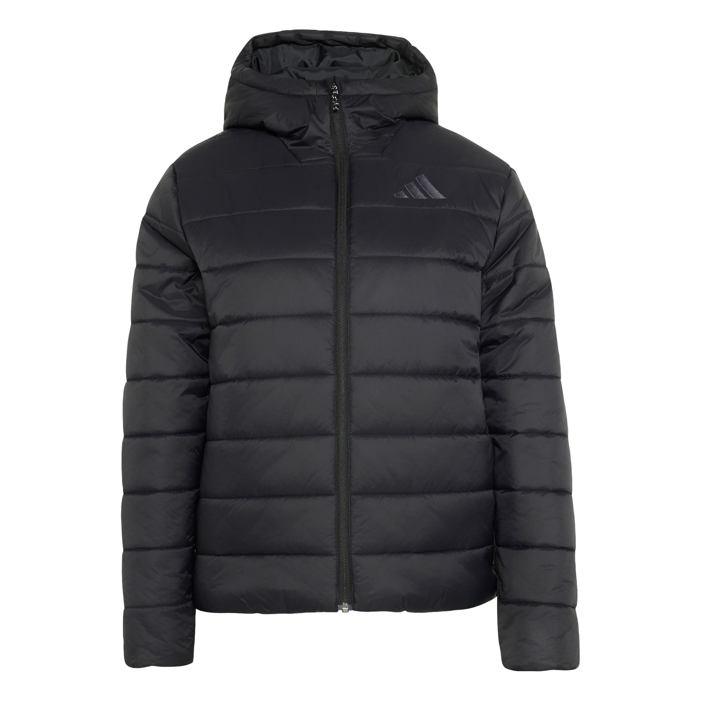 ADIDAS TERREX - Chaqueta de montaña 'Multi Essentials' en negro
