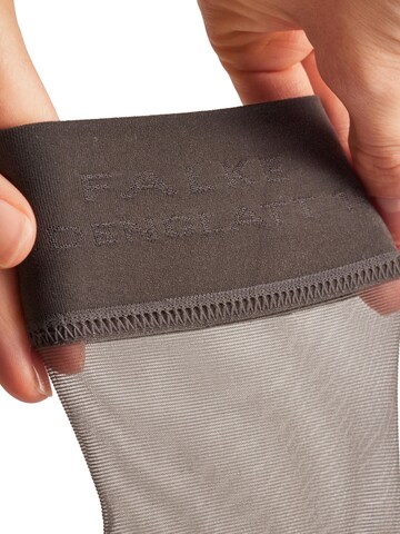 FALKE Knee High Socks 'Seidenglatt' in Grey